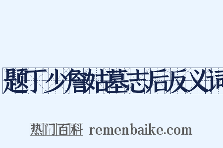 题丁少詹姑墓志后反义词是什么意思的图片